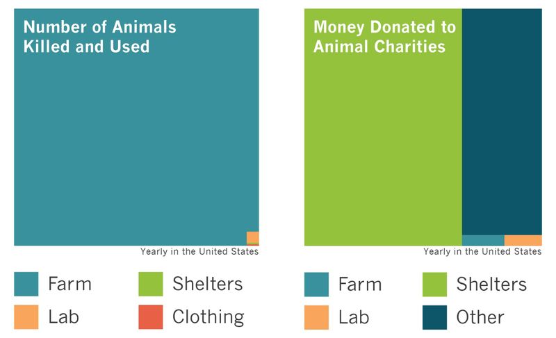 Donation chart