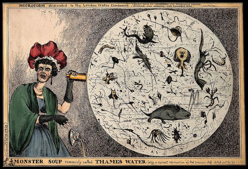 Monster Soup commonly called Thames Water